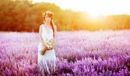 薰衣草国语在线观看,浪漫在线重温经典