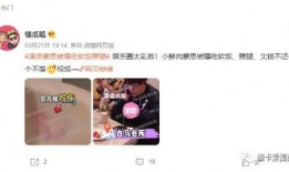 懂瓜瓜最新爆料,懂瓜瓜最新爆料，带你直击明星幕后真相